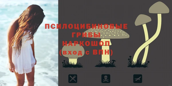бутират Нязепетровск