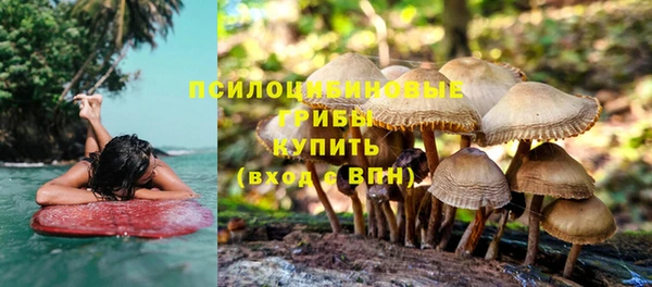 бутират Нязепетровск