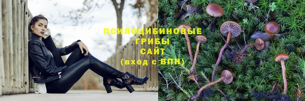круглые Няндома