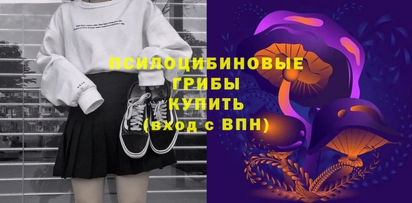круглые Няндома
